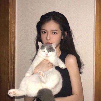 英雄战姬破解版下载